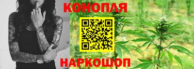шишки Татарск