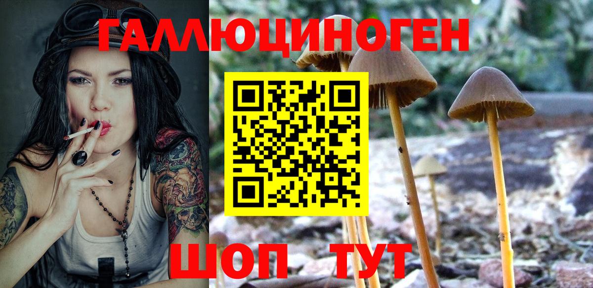 Нижний Новгород  Галлюциногенные грибы мицелий  Вход с VPN  Псилоцибиновые грибы GOLDEN TEACHER 
